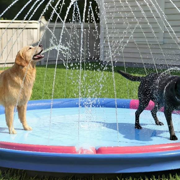 VISTOP Splash Into Summer and Backyard Water Fun